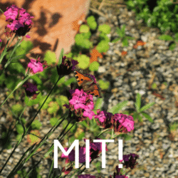 Machen Sie mit! Melden Sie sich hier an! Machen Sie mit!