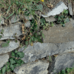 Trockenmauern bieten nicht nur Halt, sondern auch wertvollen Lebensraum (© mehr-natur-im-garten.ch) Trockenmauer